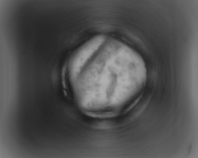 X0000100840268200807070939