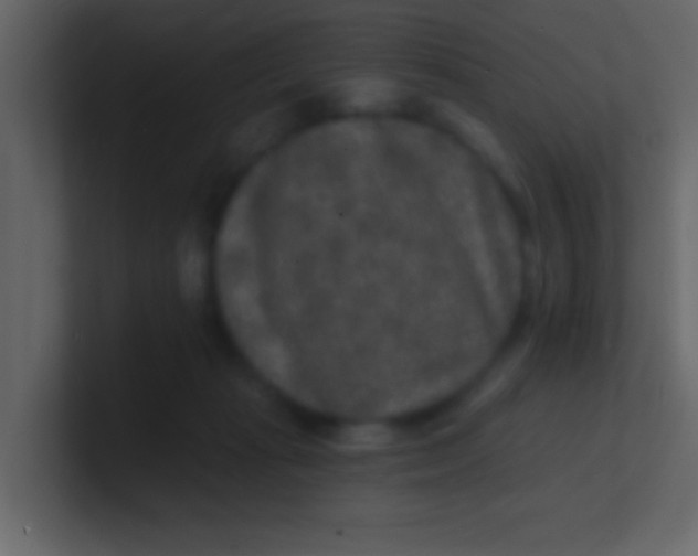 X0000100840269200807070939