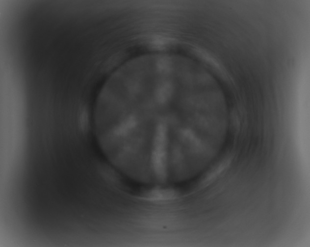 X0000100840270200807070939