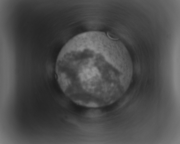 X0000100840271200807070939