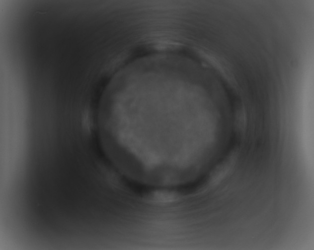 X0000100840272200807070940