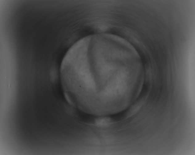 X0000100840274200807070940