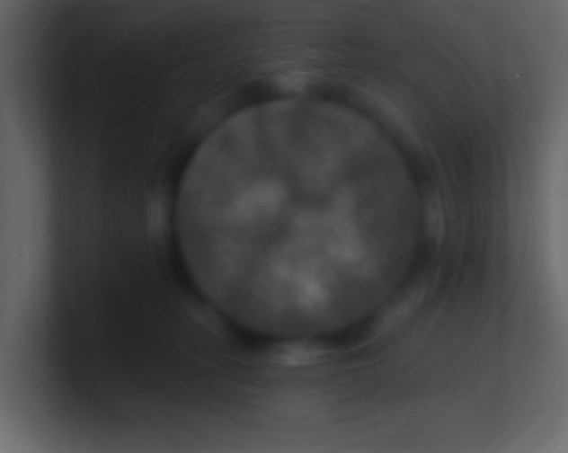 X0000100840275200807070940