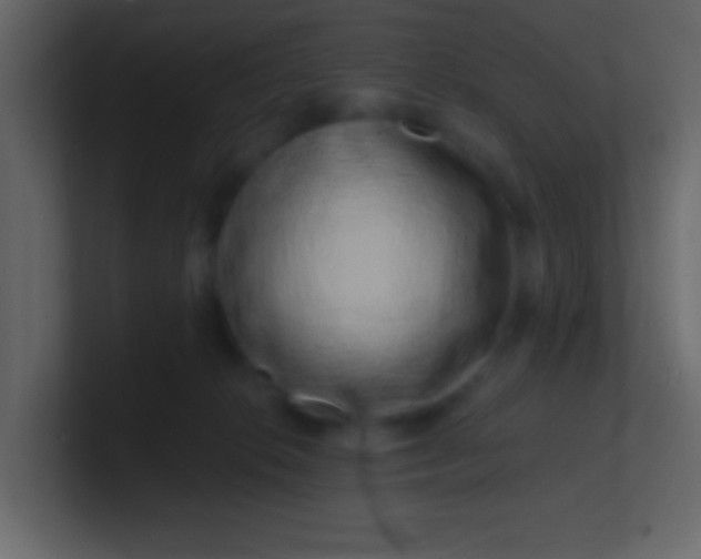 X0000100840276200807070940