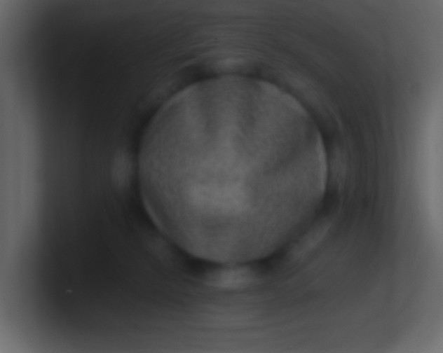 X0000100840278200807070940