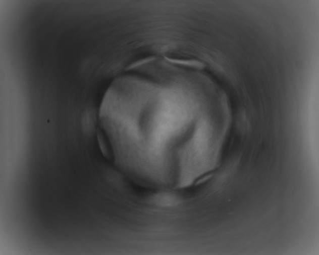 X0000100840280200807070940