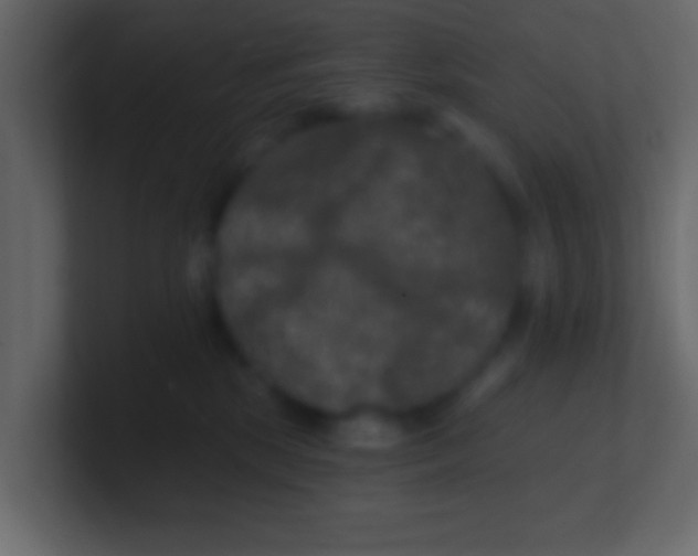 X0000100840281200807070940