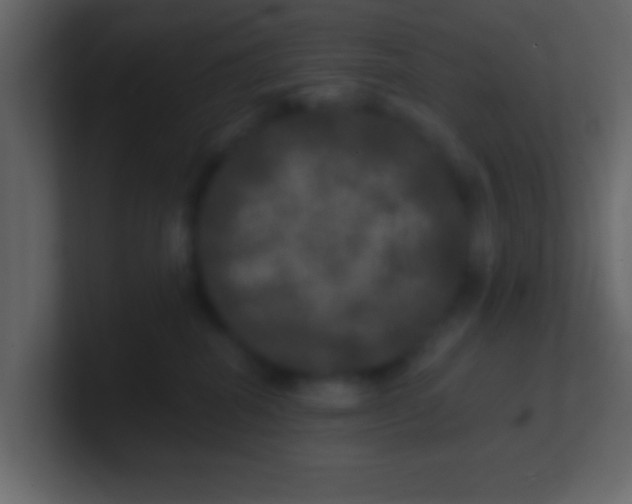 X0000100840282200807070940