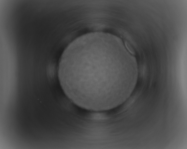 X0000100840283200807070940