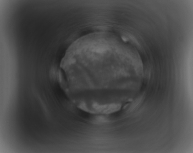 X0000100840285200807070940