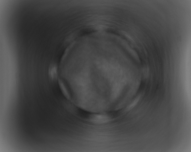 X0000100840286200807070940