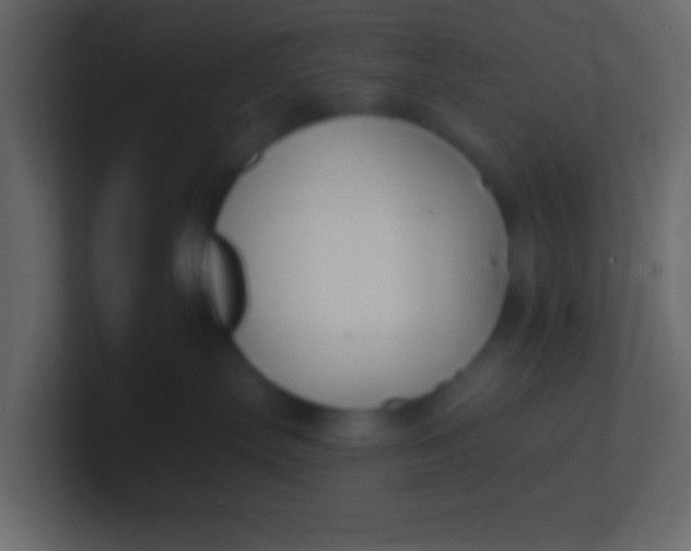 X0000100840287200807070940