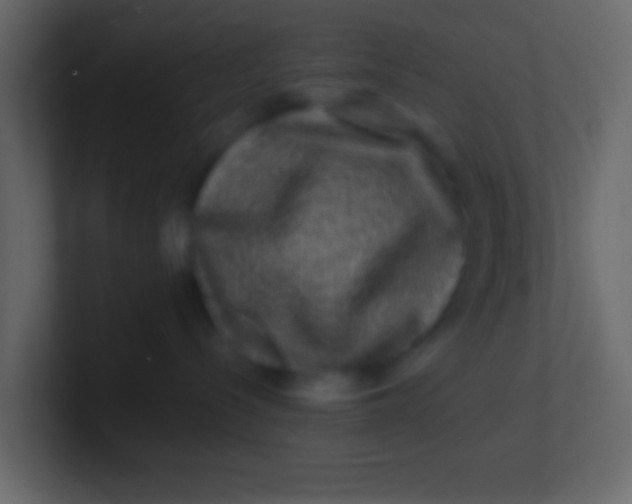 X0000100840288200807070940