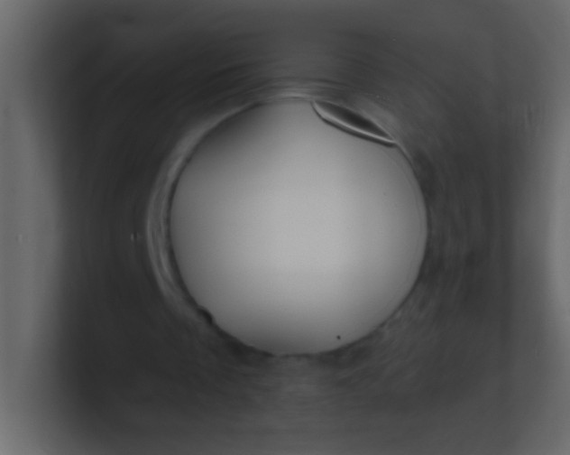 X0000100840289200807070939