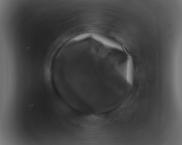 X0000100840290200807070939