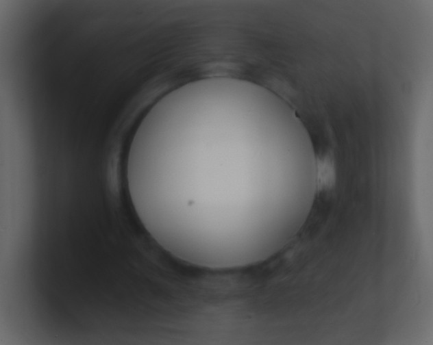 X0000100840291200807070939