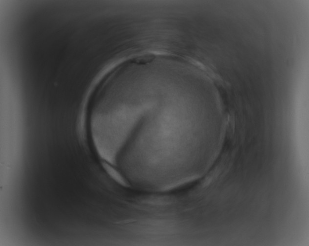 X0000100840292200807070939