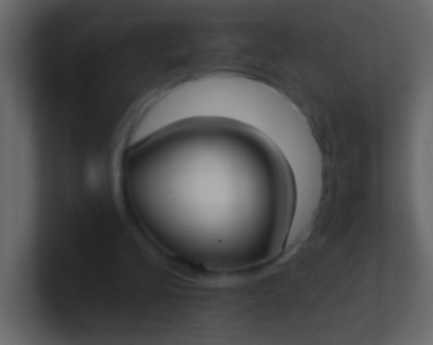 X0000100840293200807070939