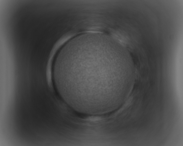 X0000100840294200807070939