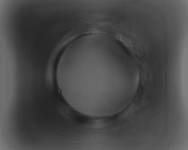 X0000100840295200807070939