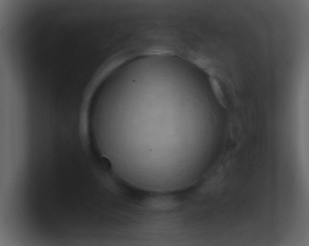 X0000100840296200807070939