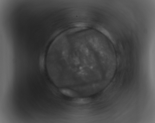 X0000100840297200807070939