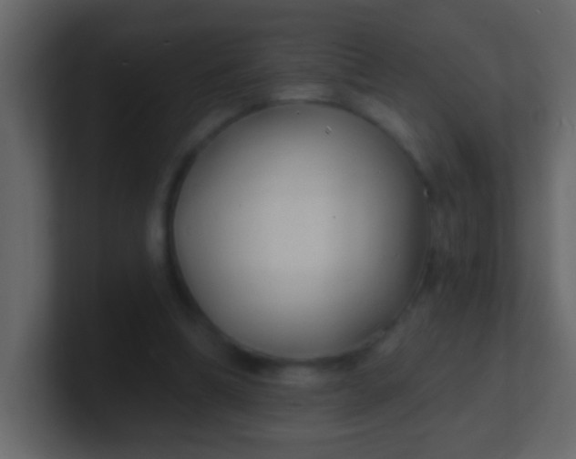 X0000100840298200807070939