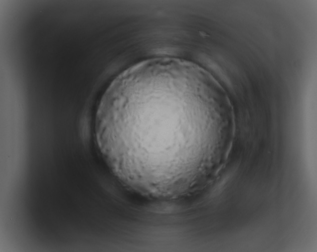 X0000100840299200807070939