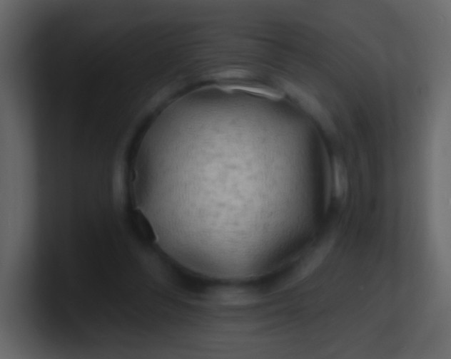 X0000100840300200807070939