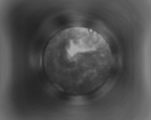 X0000100840301200807070939