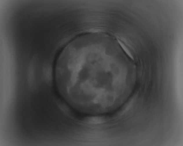 X0000100840303200807070939