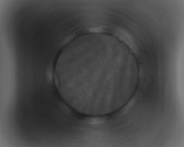 X0000100840305200807070939