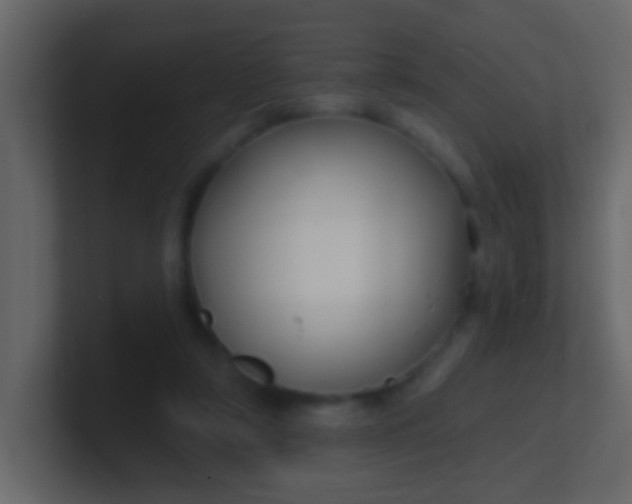 X0000100840306200807070939