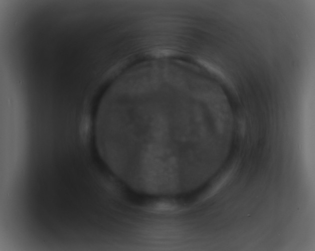 X0000100840308200807070939