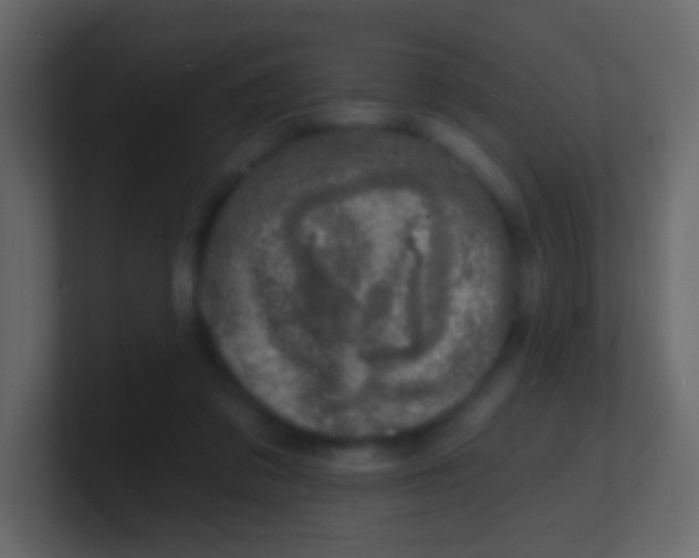 X0000100840309200807070939