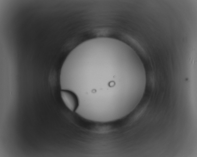 X0000100840311200807070939