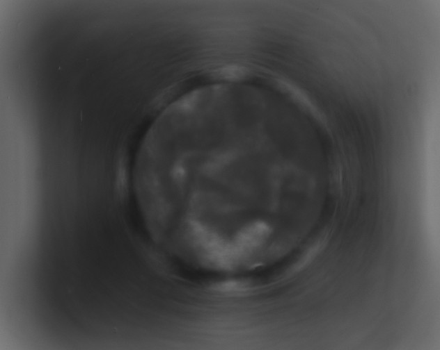 X0000100840312200807070939