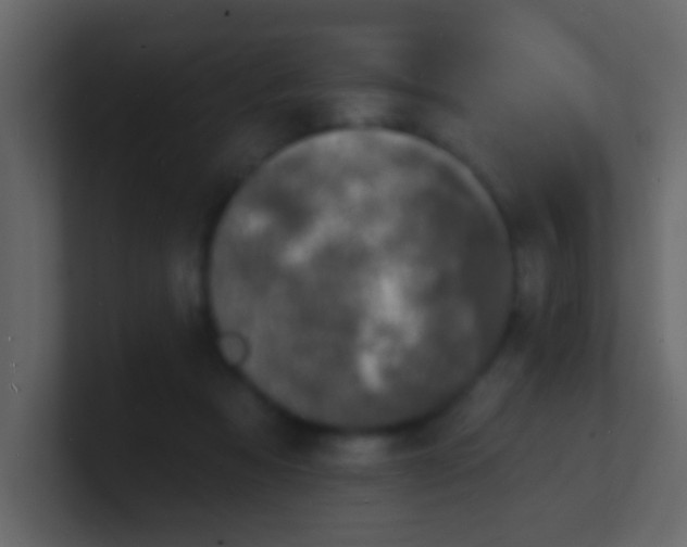 X0000100840313200807070939