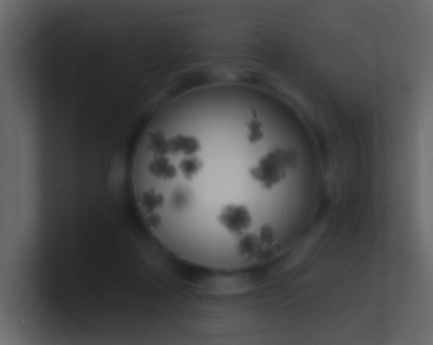 X0000100840314200807070939