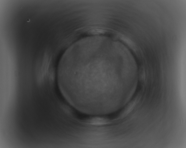 X0000100840315200807070939