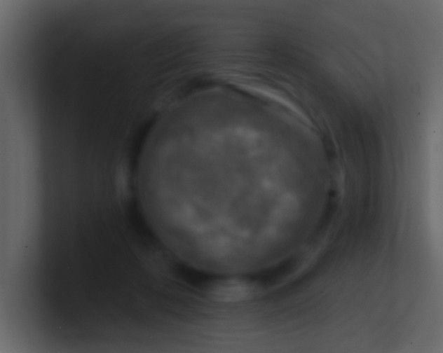 X0000100840316200807070939