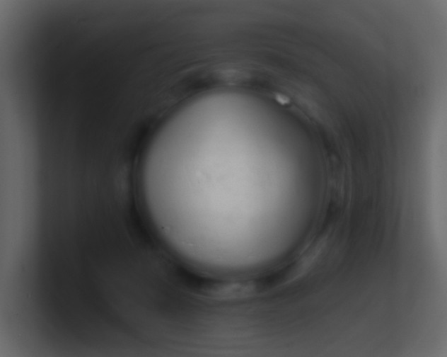 X0000100840319200807070939