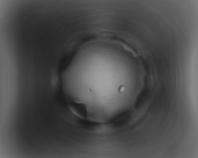 X0000100840320200807070938