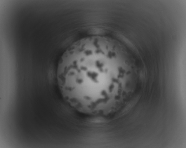 X0000100840322200807070938