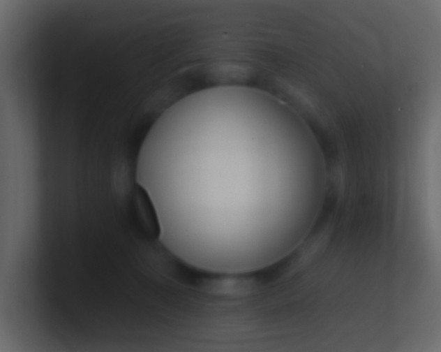 X0000100840323200807070938