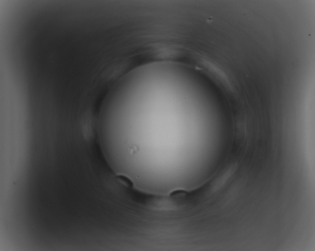 X0000100840325200807070938