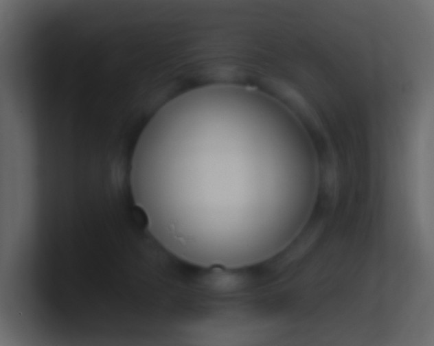 X0000100840326200807070938