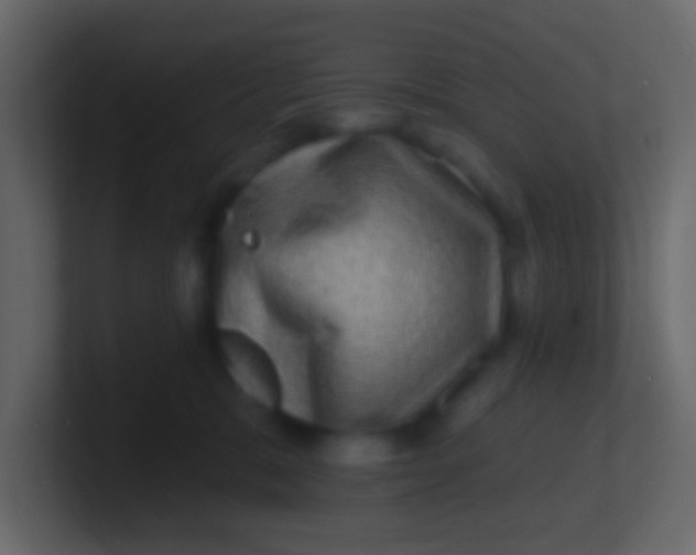 X0000100840327200807070938