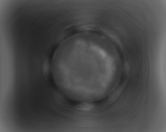 X0000100840328200807070938