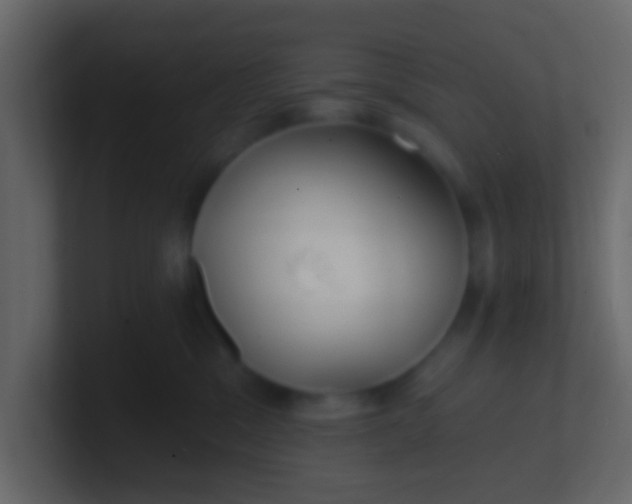 X0000100840329200807070938